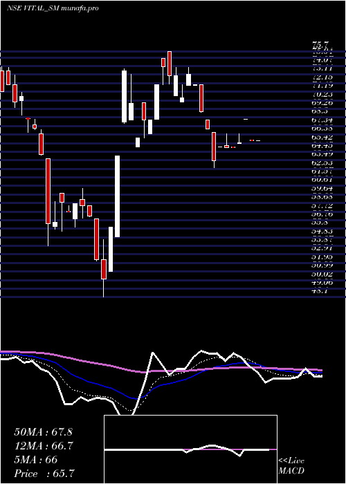 Daily chart VitalChemtech