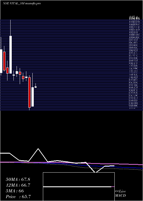 monthly chart VitalChemtech