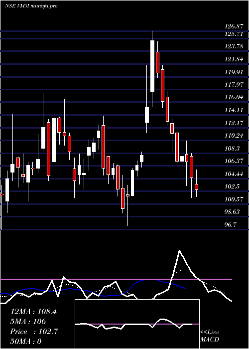  Daily chart VishalMega