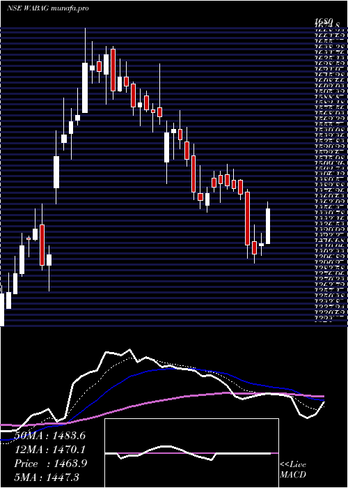  Daily chart VaTech