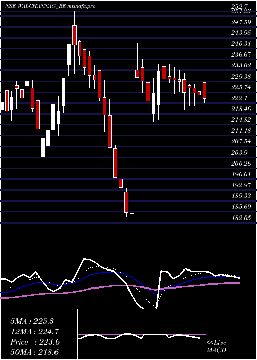  Daily chart WalchandnagarIndustries