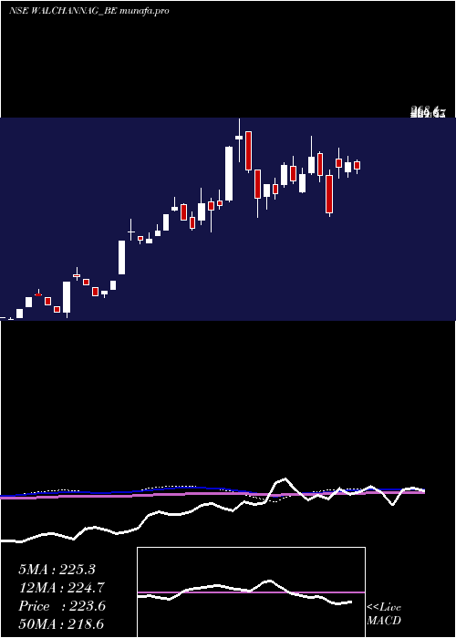  weekly chart WalchandnagarIndustries