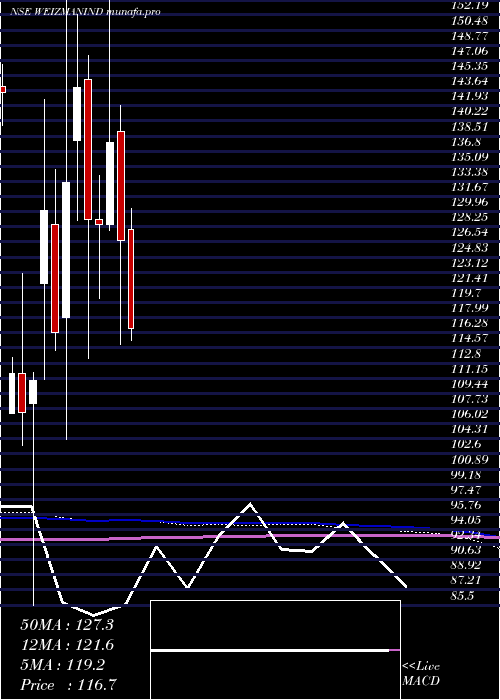  monthly chart Weizmann