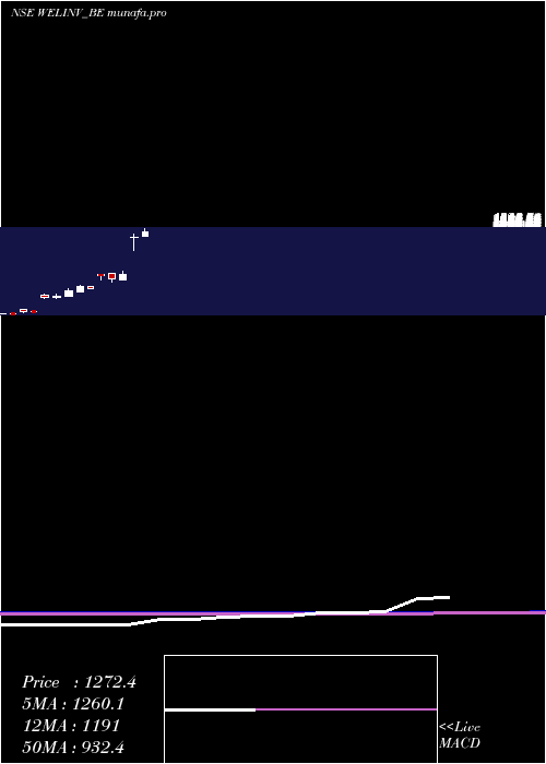 monthly chart WelspunInv