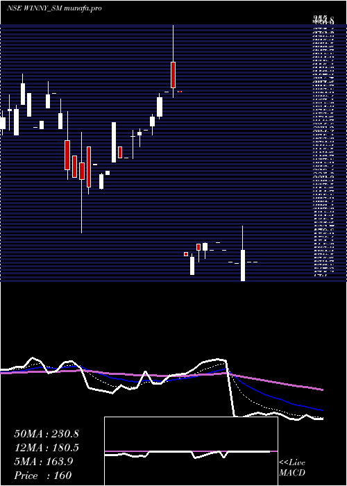 Daily chart WinnyImmigra