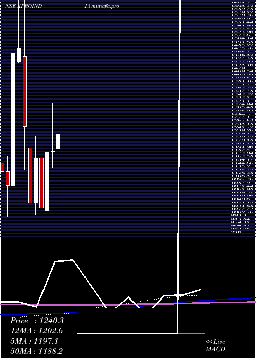 monthly chart XproIndia