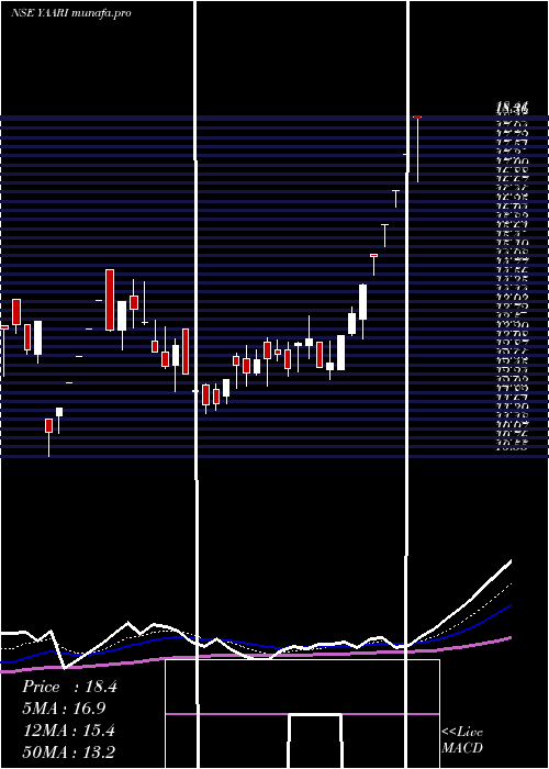  Daily chart YaariDigi