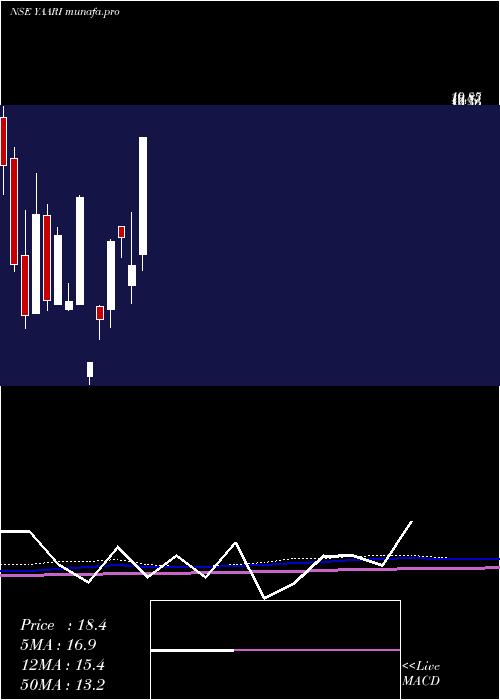  monthly chart YaariDigi