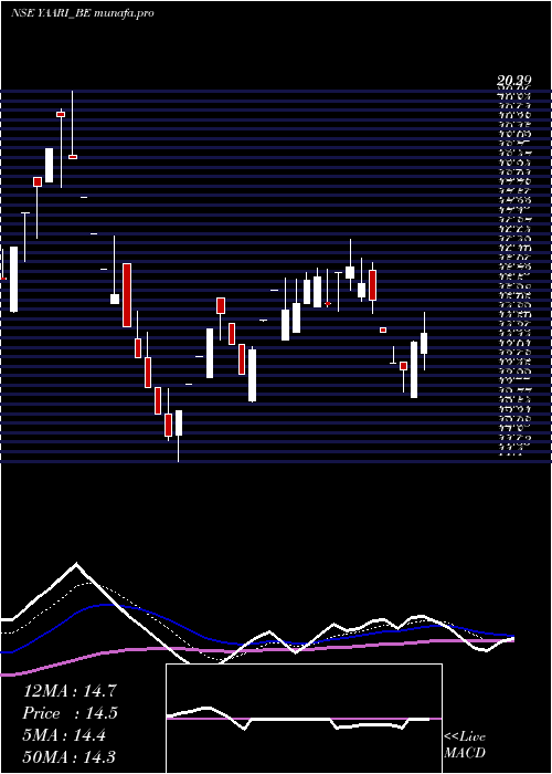  Daily chart YaariDigi