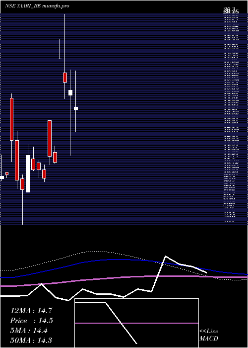  monthly chart YaariDigi