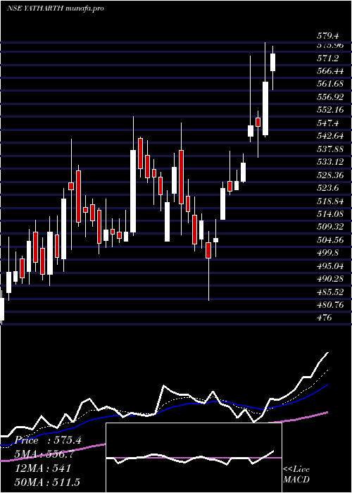  Daily chart YatharthHosp