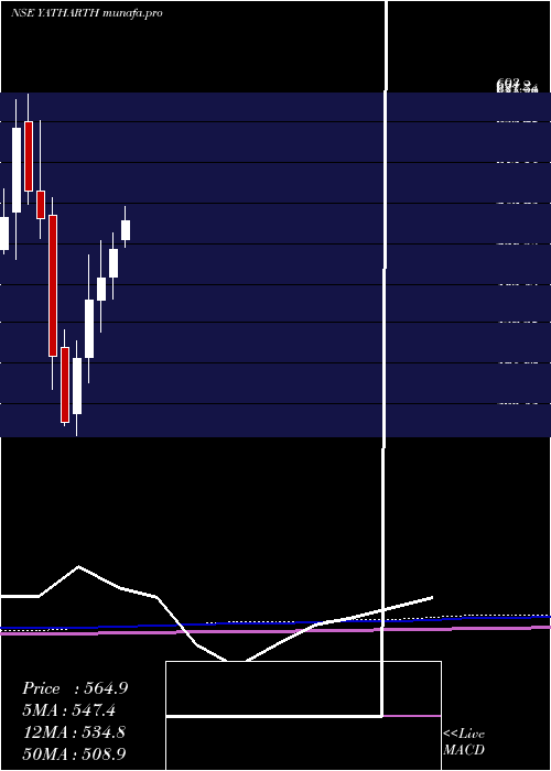  monthly chart YatharthHosp