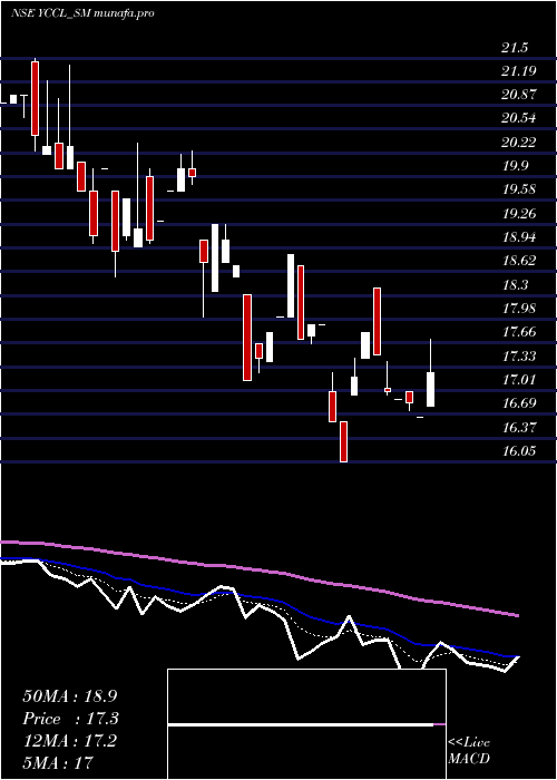  Daily chart YasonsChemex