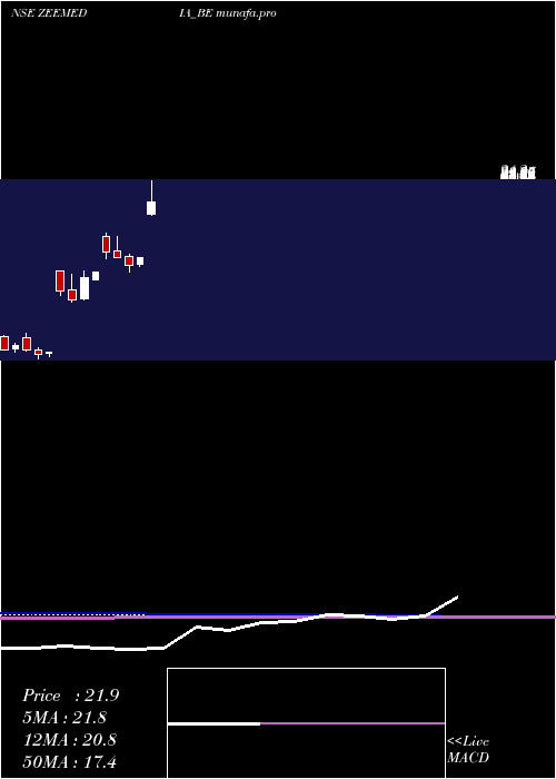  monthly chart ZeeMedia