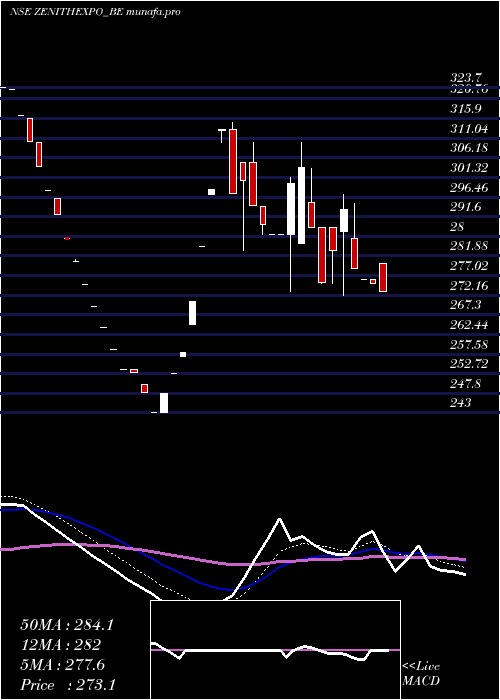  Daily chart ZenithExports