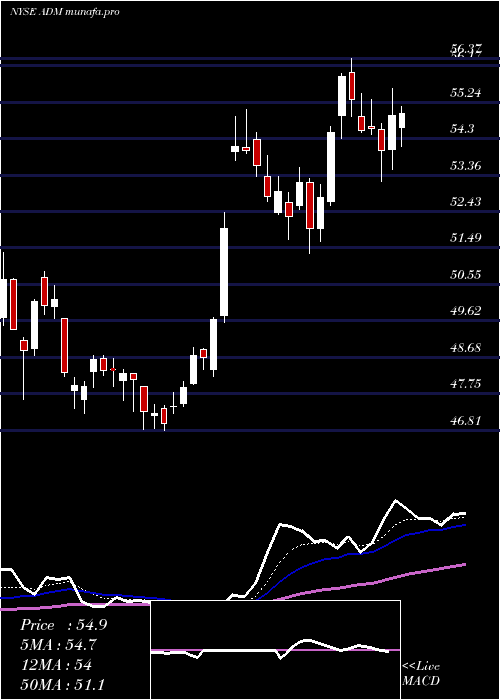  Daily chart ArcherDaniels