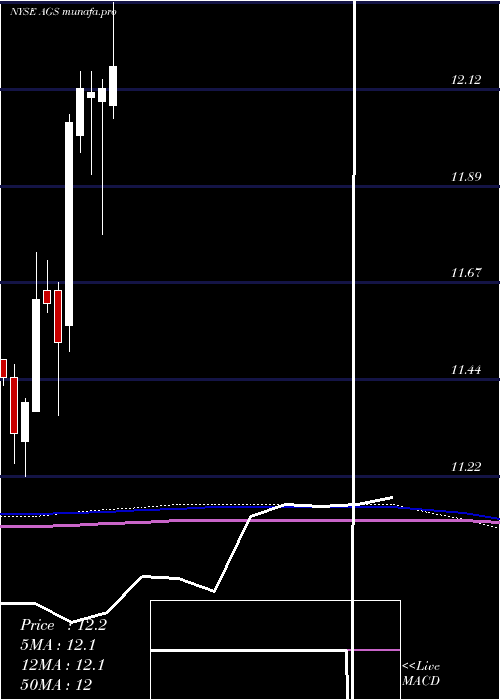 monthly chart PlayagsInc