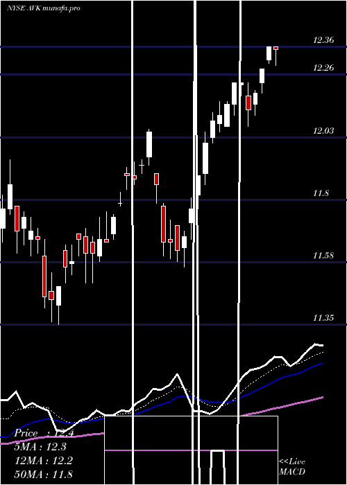 Daily chart AdventClaymore