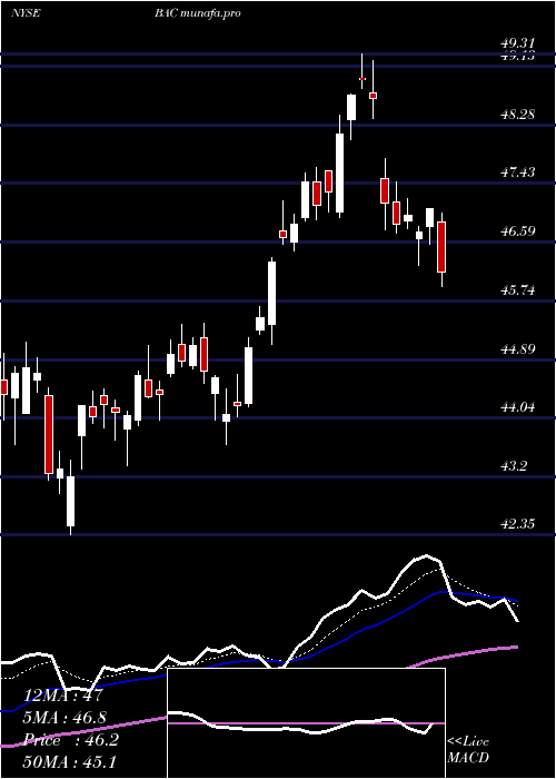  Daily chart BankAmerica