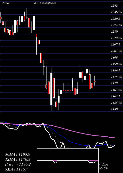 Daily chart BankAmer