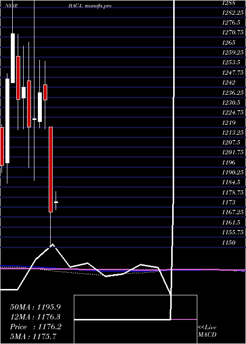 monthly chart BankAmer