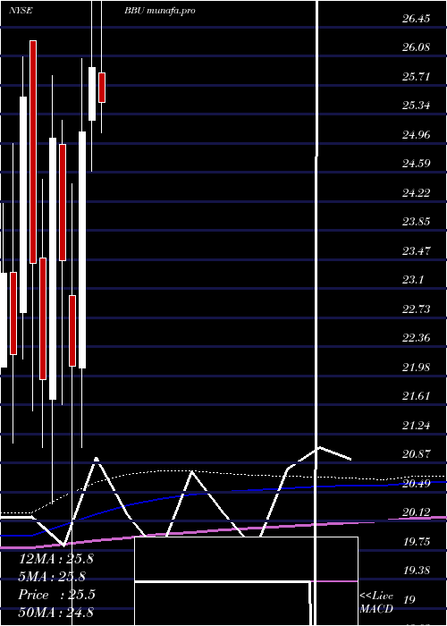 monthly chart BrookfieldBusiness