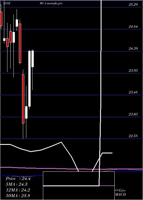 monthly chart BrunswickCorp