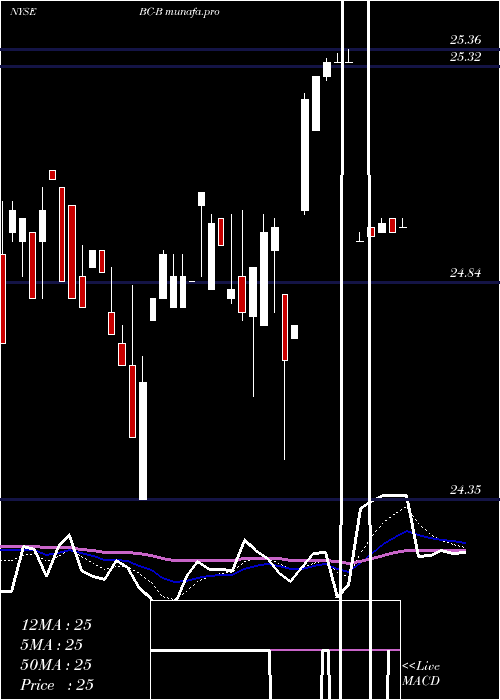  Daily chart BrunswickCorp