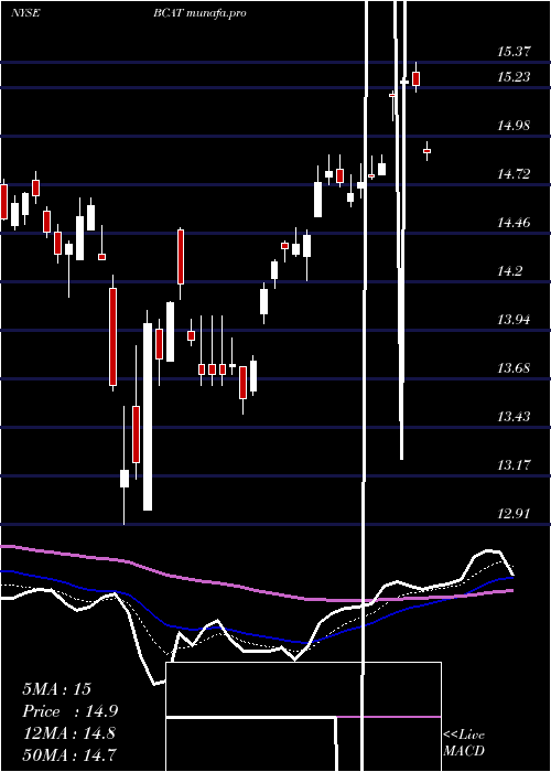 Daily chart BlackrockCapital