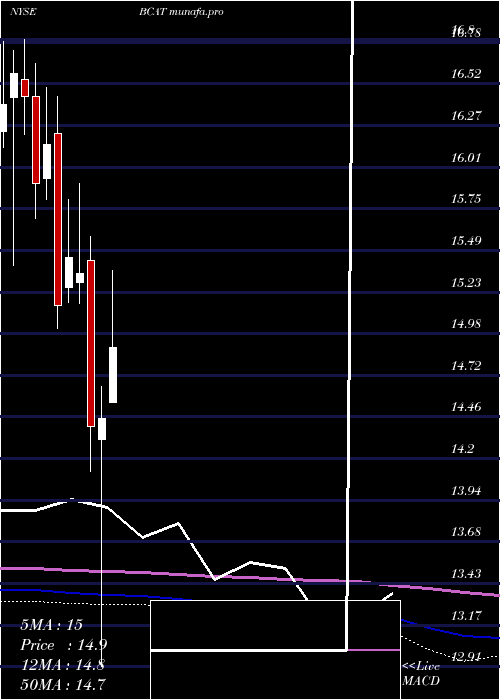monthly chart BlackrockCapital
