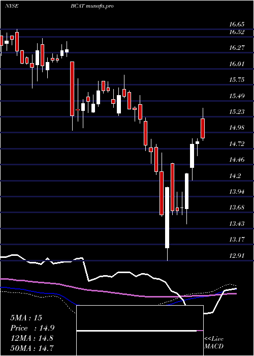 weekly chart BlackrockCapital