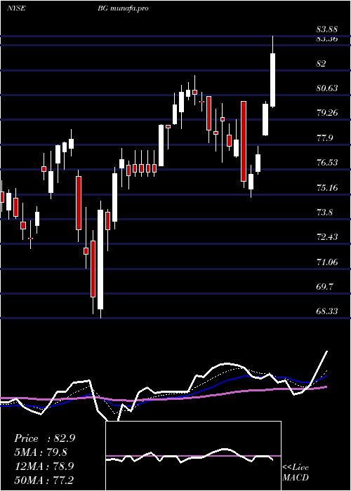 Daily chart Bunge