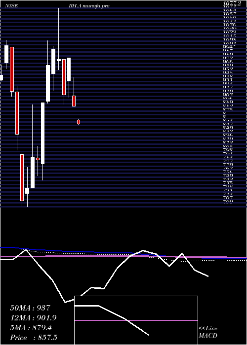  monthly chart BiglariHoldings