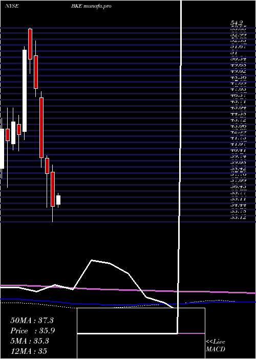 monthly chart BuckleInc
