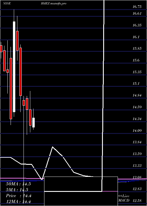 monthly chart BlackrockHealth