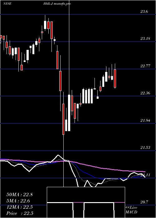  Daily chart BankAmerica