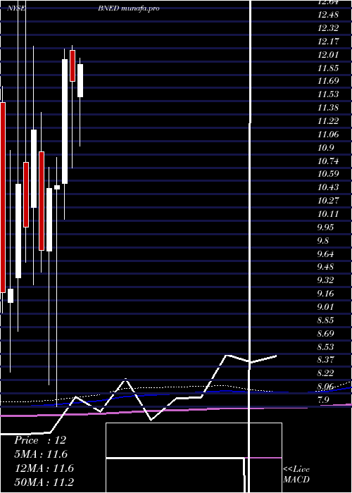 monthly chart BarnesNoble