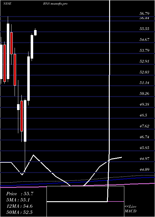 monthly chart BankNova