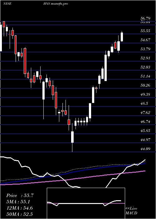 weekly chart BankNova