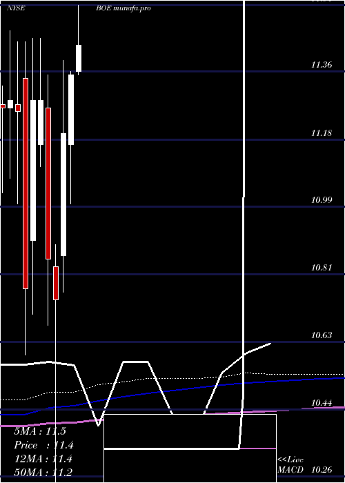 monthly chart BlackrockGlobal