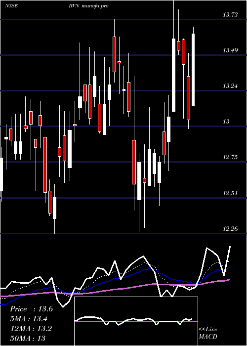  Daily chart BuenaventuraMining