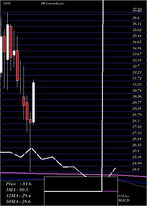 monthly chart BorgwarnerInc
