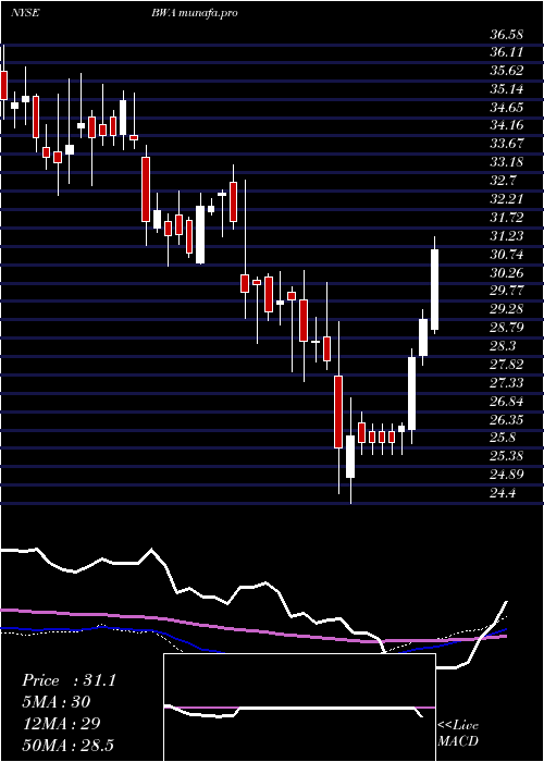 weekly chart BorgwarnerInc