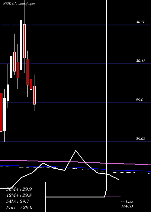 monthly chart CitigroupCapital