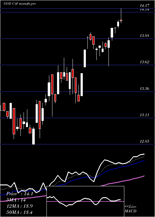  Daily chart MorganStanley