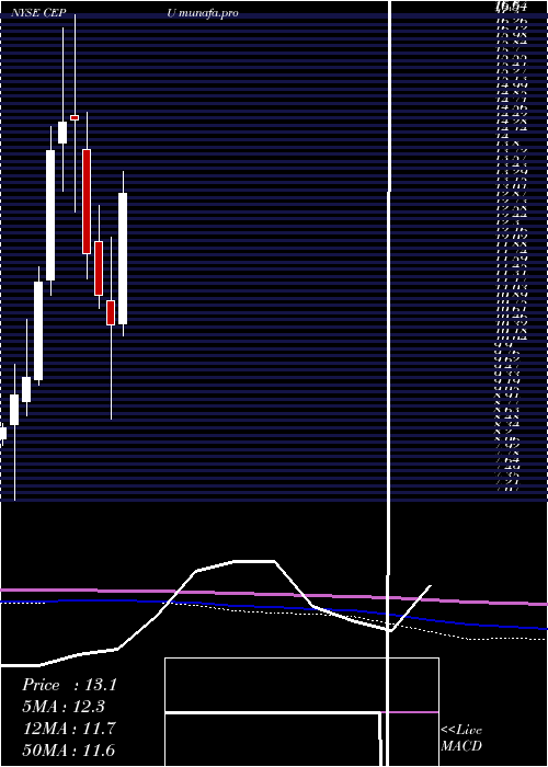 monthly chart CentralPuerto