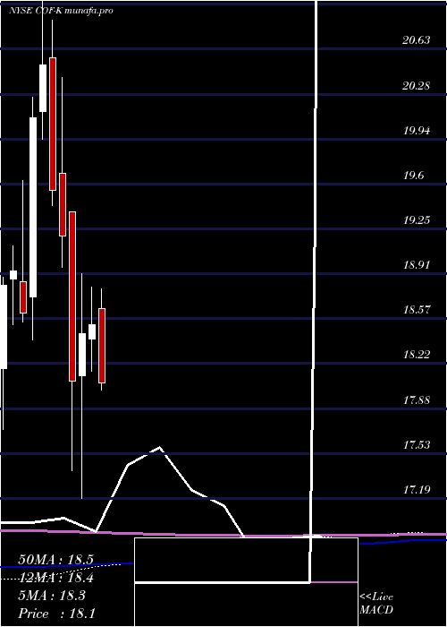  monthly chart CapitalOne