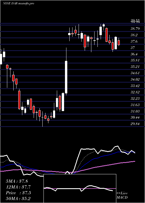  Daily chart DarlingIngredients