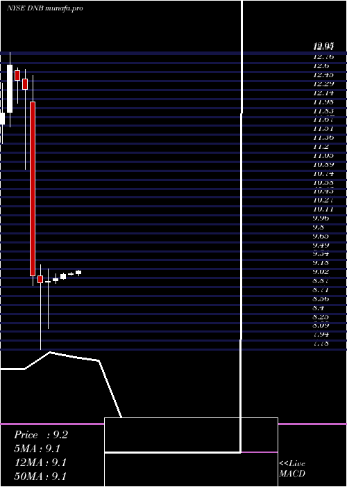 monthly chart DunBradstreet