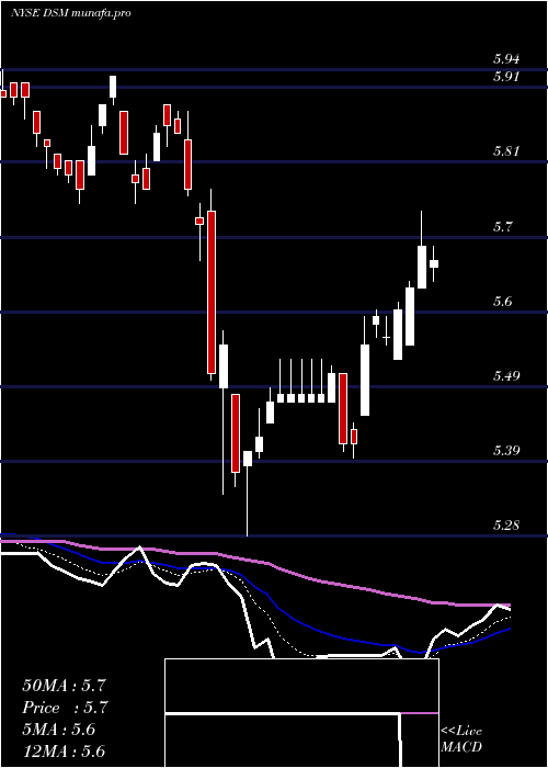  Daily chart DreyfusStrategic